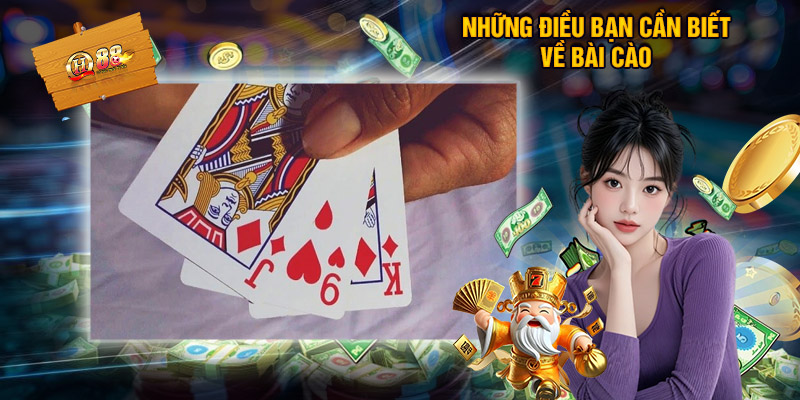 Những Điều Bạn Cần Biết Về Bài Cào